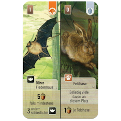 Mischwald - Dürer Fledermaus / Feldhase Mischwald - Dürer Fledermaus / Feldhase