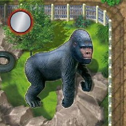 Zooloretto: Gorilla