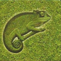 Zooloretto Exotic: Chamäleon