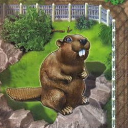 Zooloretto: Biber (Castor) Zooloretto: Biber (Castor)