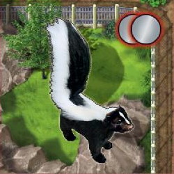 Zooloretto: Stinktier Zooloretto: Stinktier