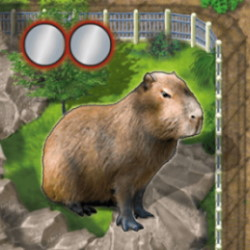 Zooloretto: Wasserschwein Zooloretto: Wasserschwein